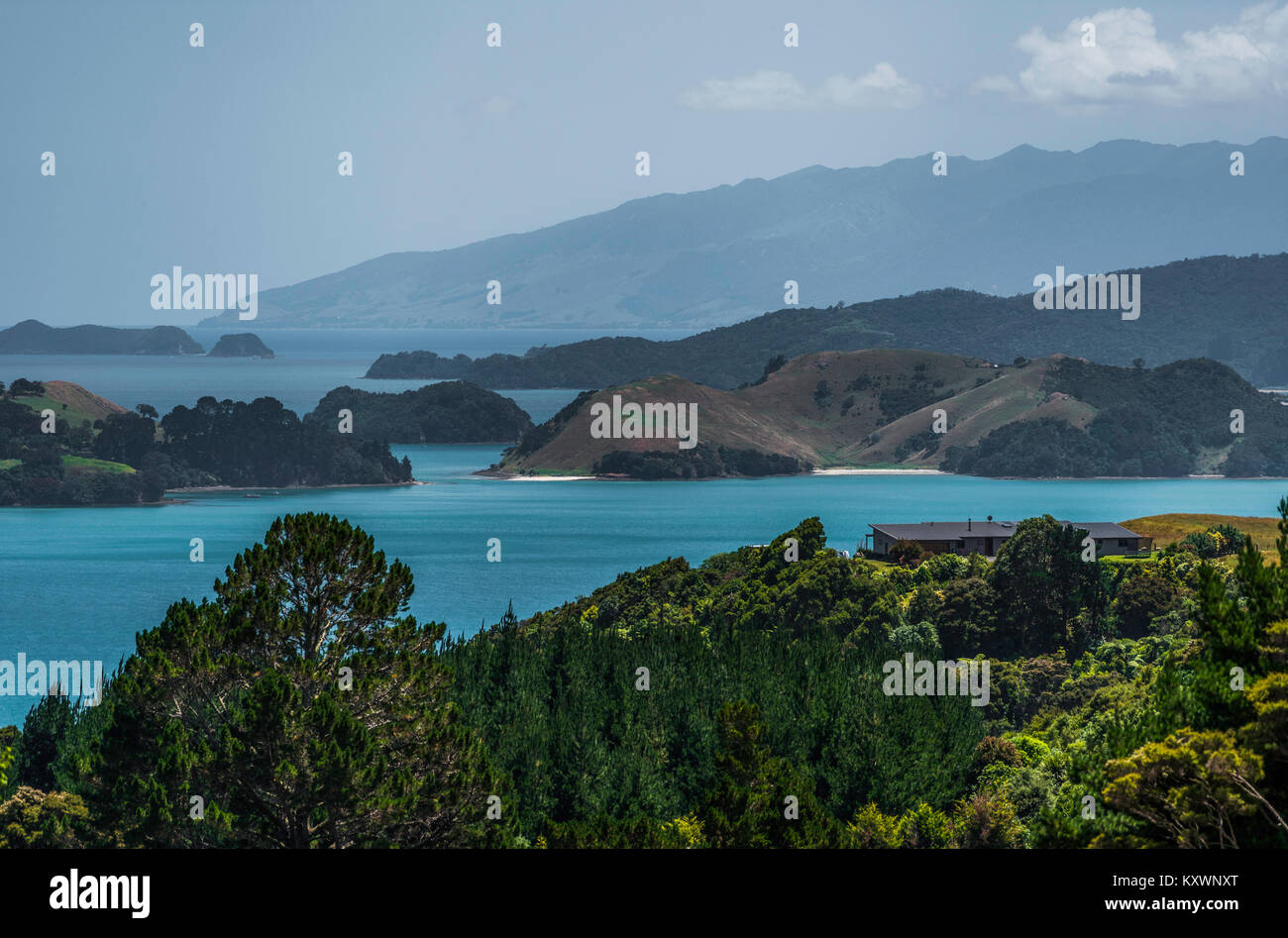 Il paesaggio e la vegetazione di Coromandel pensinsula, Nuova Zelanda Foto Stock