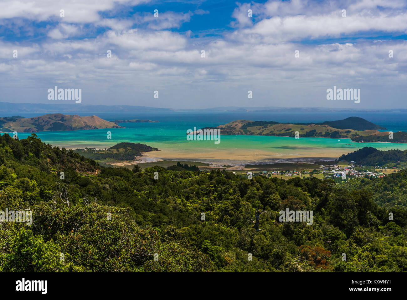 Il paesaggio e la vegetazione di Coromandel pensinsula, Nuova Zelanda Foto Stock