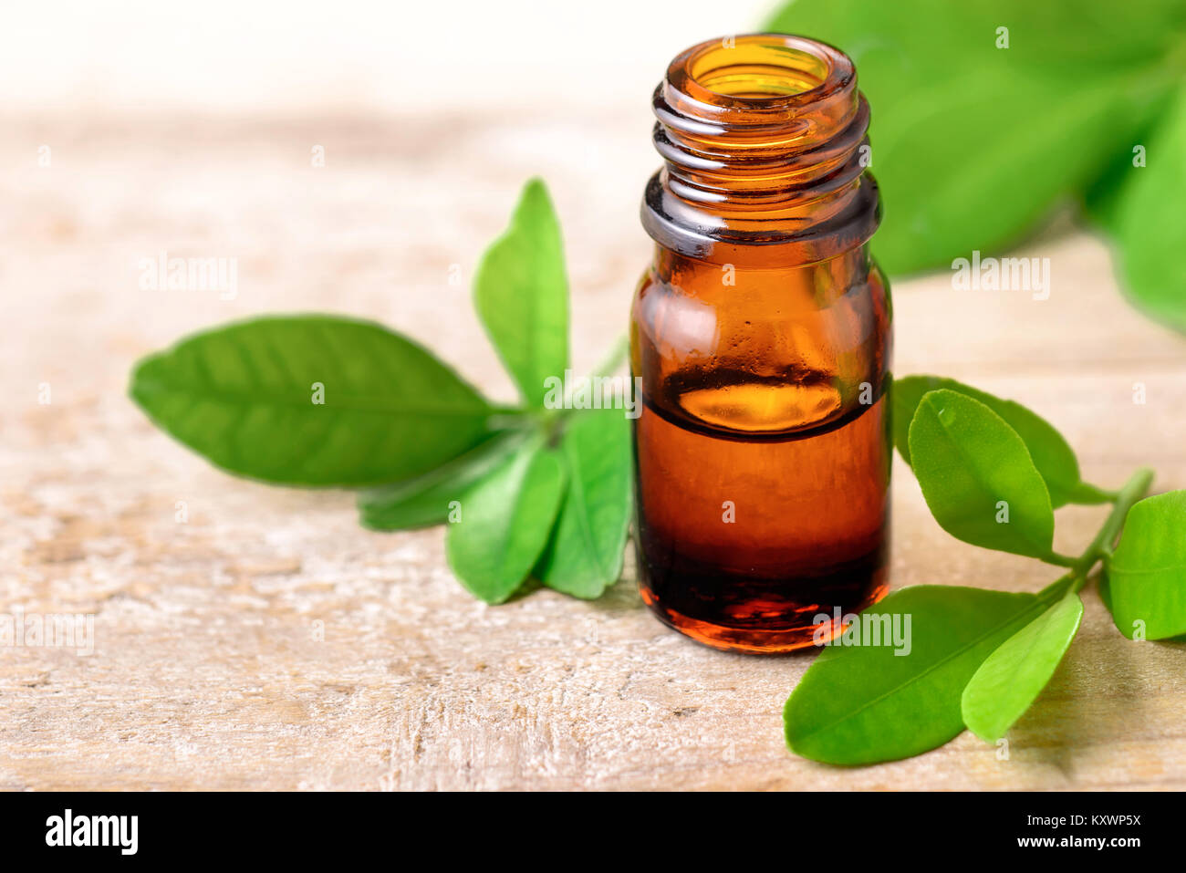 Petitgrain olio essenziale sulla tavola di legno Foto Stock