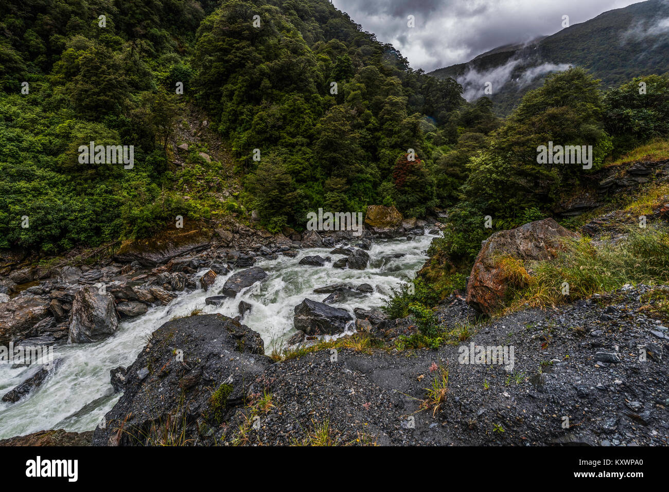 Paesaggio e vegetazione di Haast River Valley, Nuova Zelanda Foto Stock