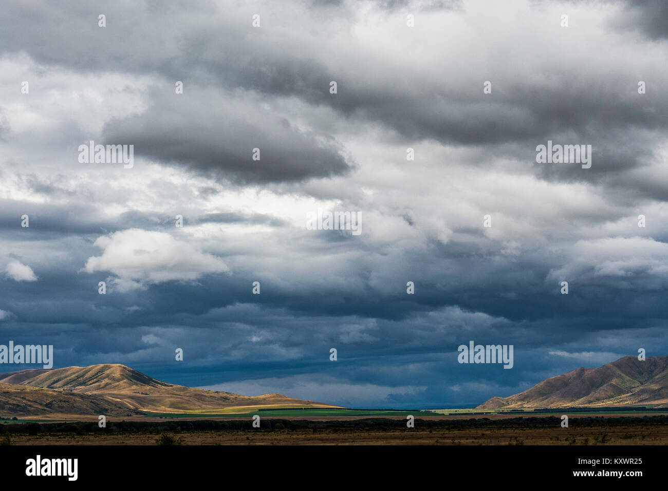 Paesaggio vicino Omarama, Nuova Zelanda Foto Stock