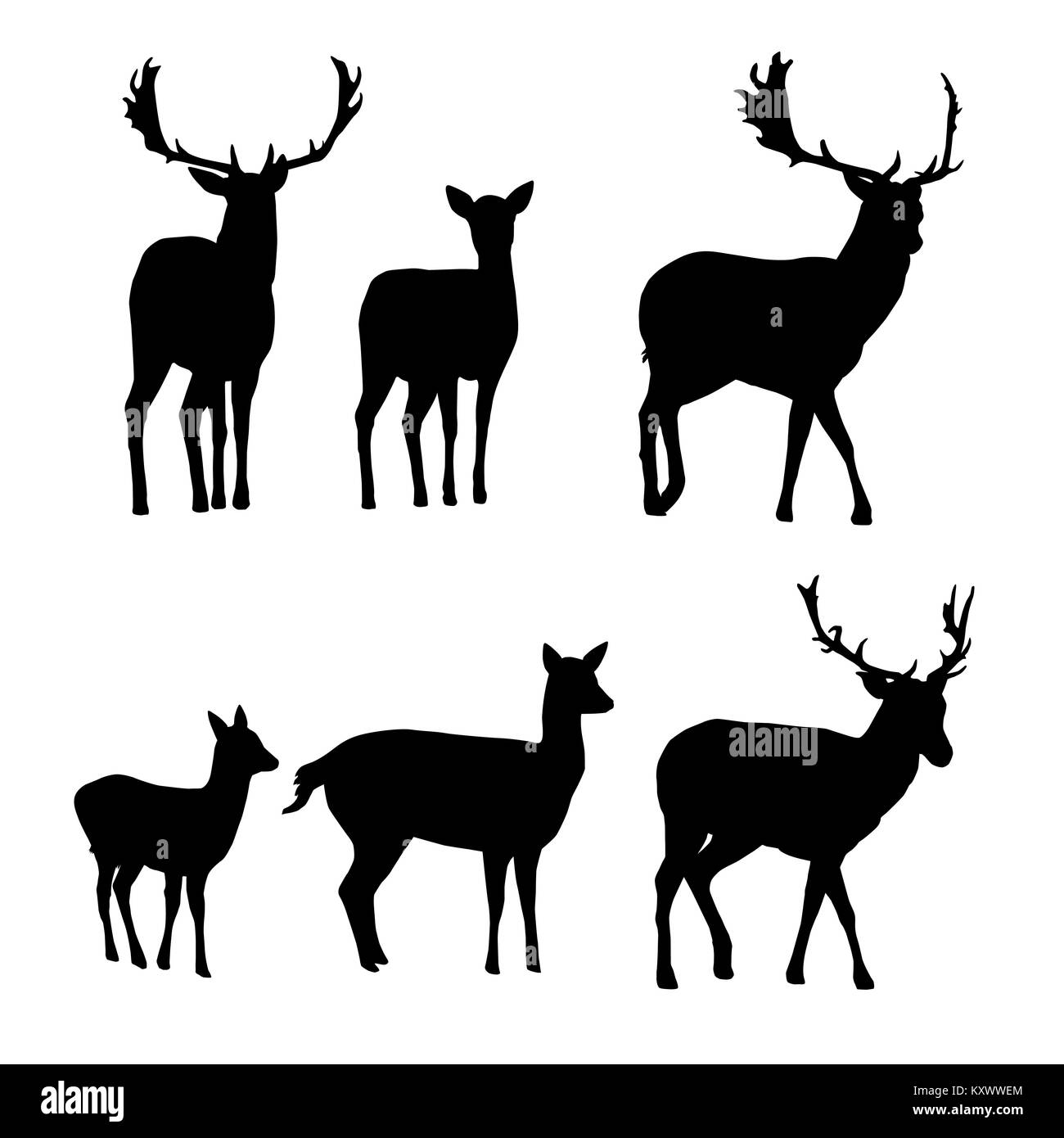 Set di sagome vettoriali di cervi e daini con un cerbiatto isolati su sfondo bianco Illustrazione Vettoriale