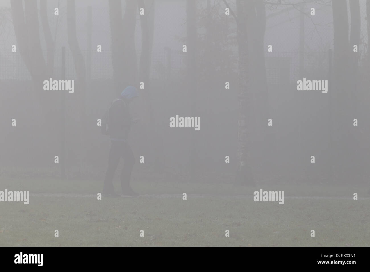 Uomo che cammina attraverso il parco guardando il telefono su un nebbioso giorno nel Regno Unito Foto Stock