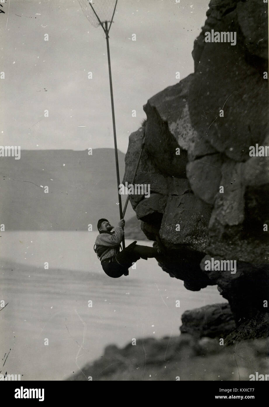 Questa fotografia mostra un uccello su una montagna nelle Isole Faroe. Cattura il paesaggio aspro e il legame della regione con la vita aviaria e il tradizionale paesaggio costiero. Foto Stock