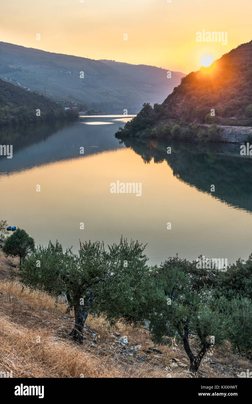 Il fiume Douro al tramonto tra Folgosa e Pinhao. Nella regione dei vini di Alto Douro Portogallo settentrionale Foto Stock