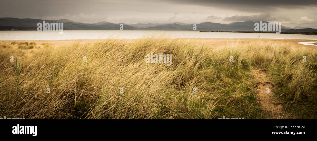 Roanhead appena fuori di Barrow-in-Furness su un meno di sunny buon venerdì. Il primo weekend lungo dell'anno è sempre un affare umido però! Foto Stock