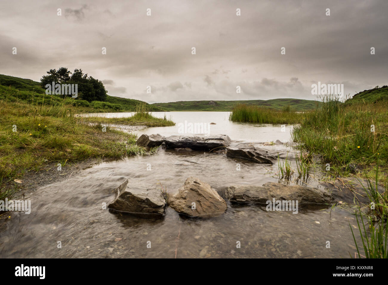 Beacon Tarn, Blawith, Cumbria nel tipico quartiere del lago meteo! Foto Stock