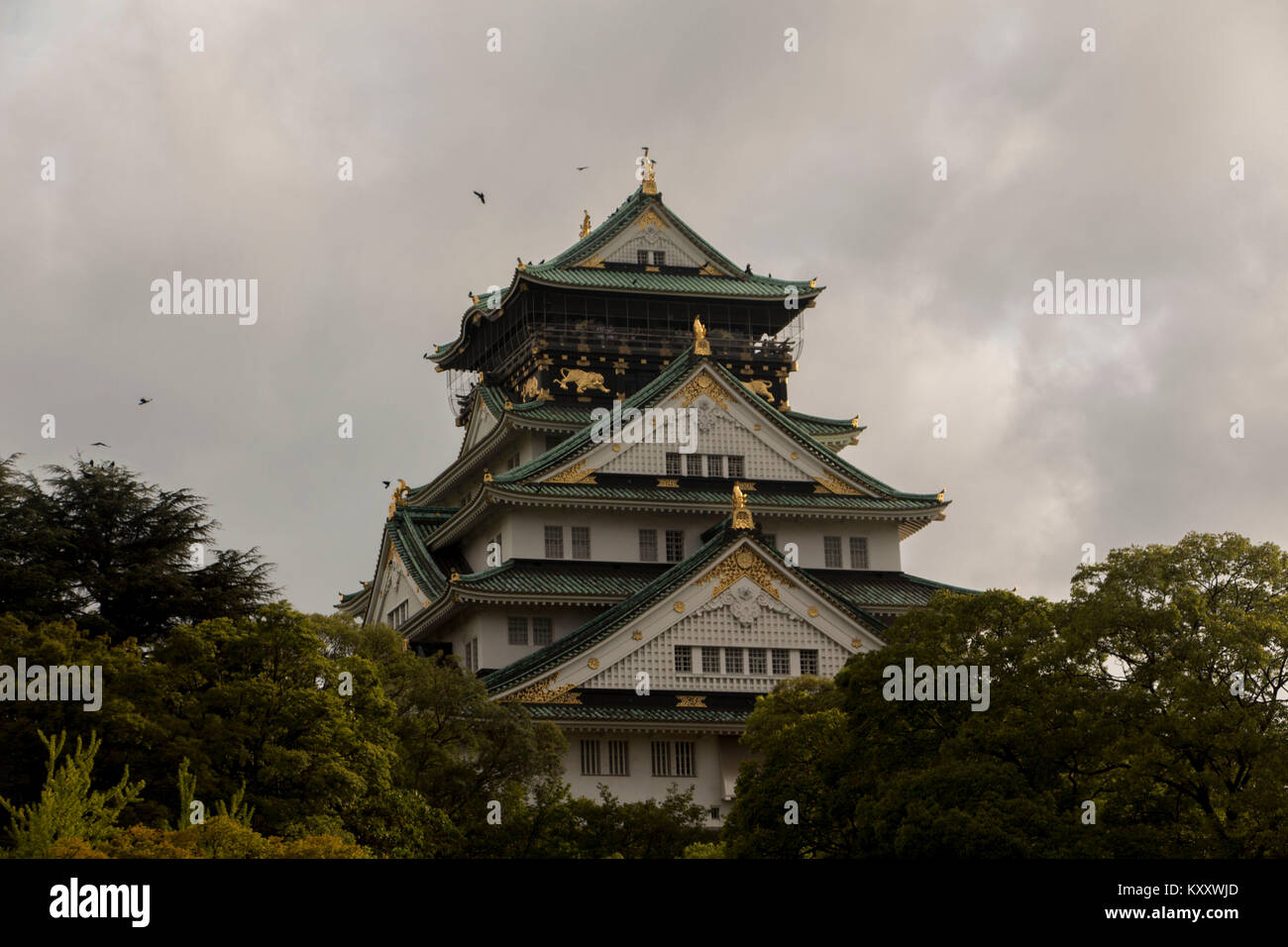 Castello di Osaka Foto Stock