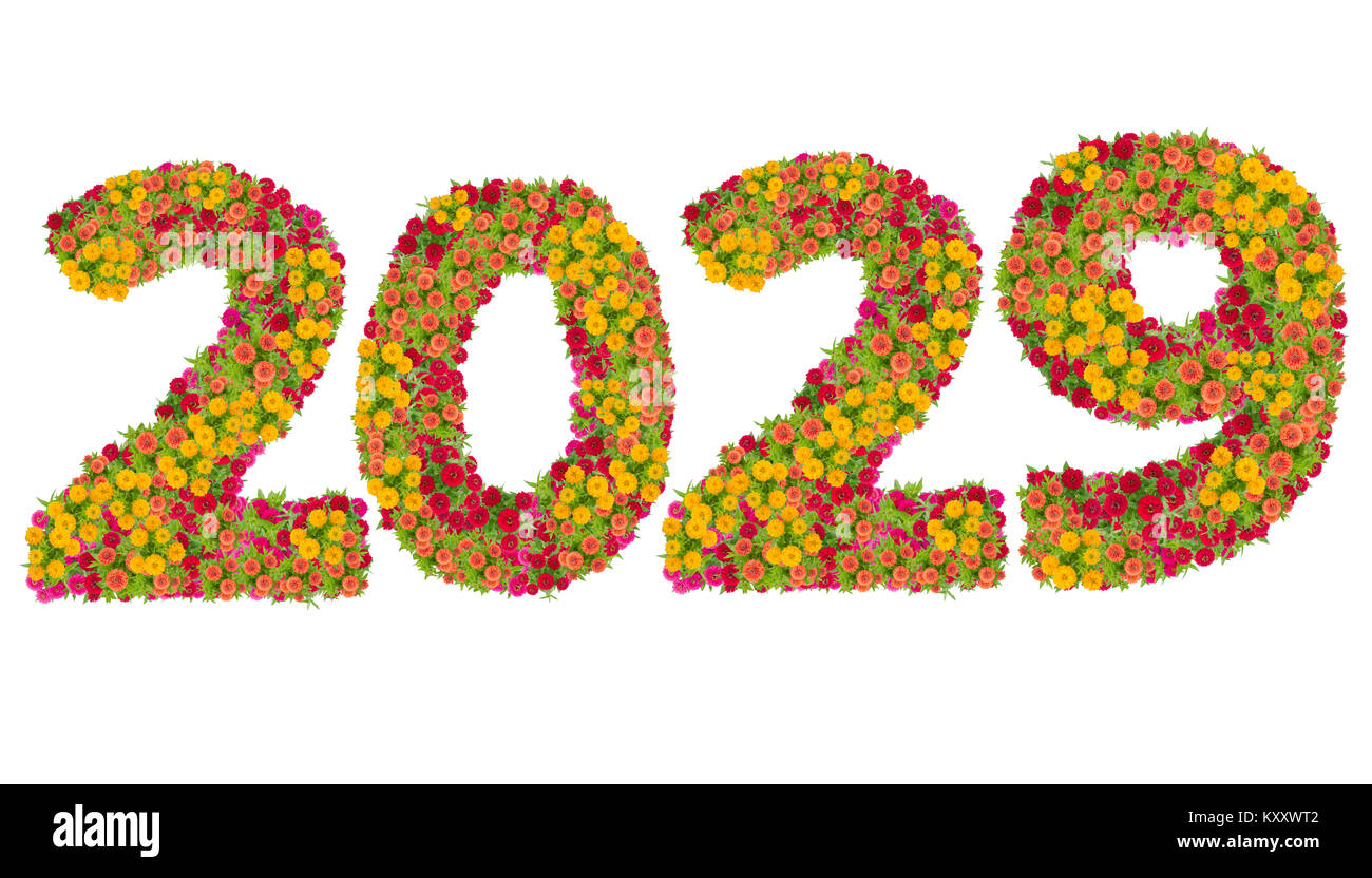 Numeri 2029 realizzato da Zinnias fiori isolati su sfondo bianco con percorso di clipping. Felice anno nuovo concetto Foto Stock