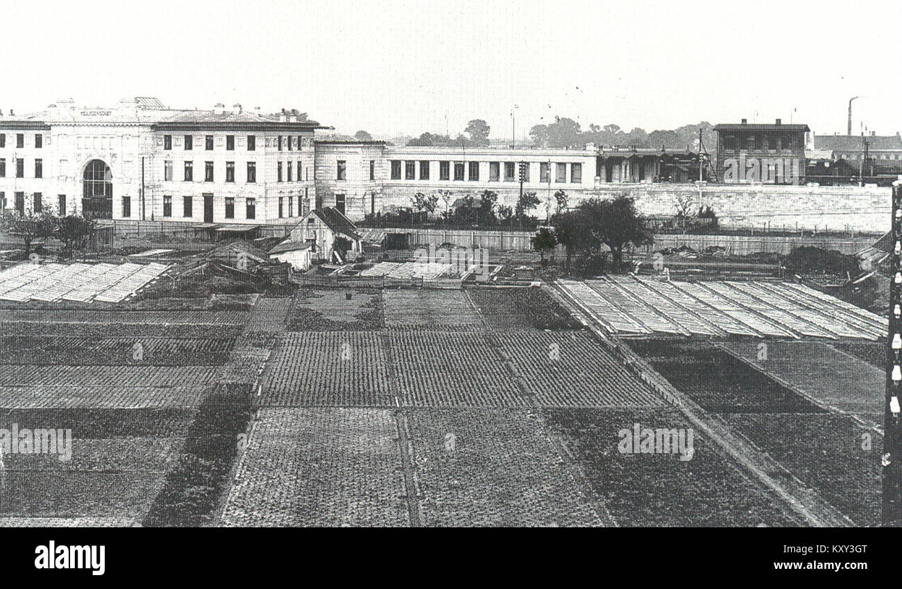 Una fotografia o registrazione storica del complesso Karl-Marx-Hof a Vienna, in Austria, risalente al 1899 circa. Rappresenta uno degli edifici residenziali più lunghi del mondo, un esempio chiave dell'architettura delle prime case popolari. Foto Stock
