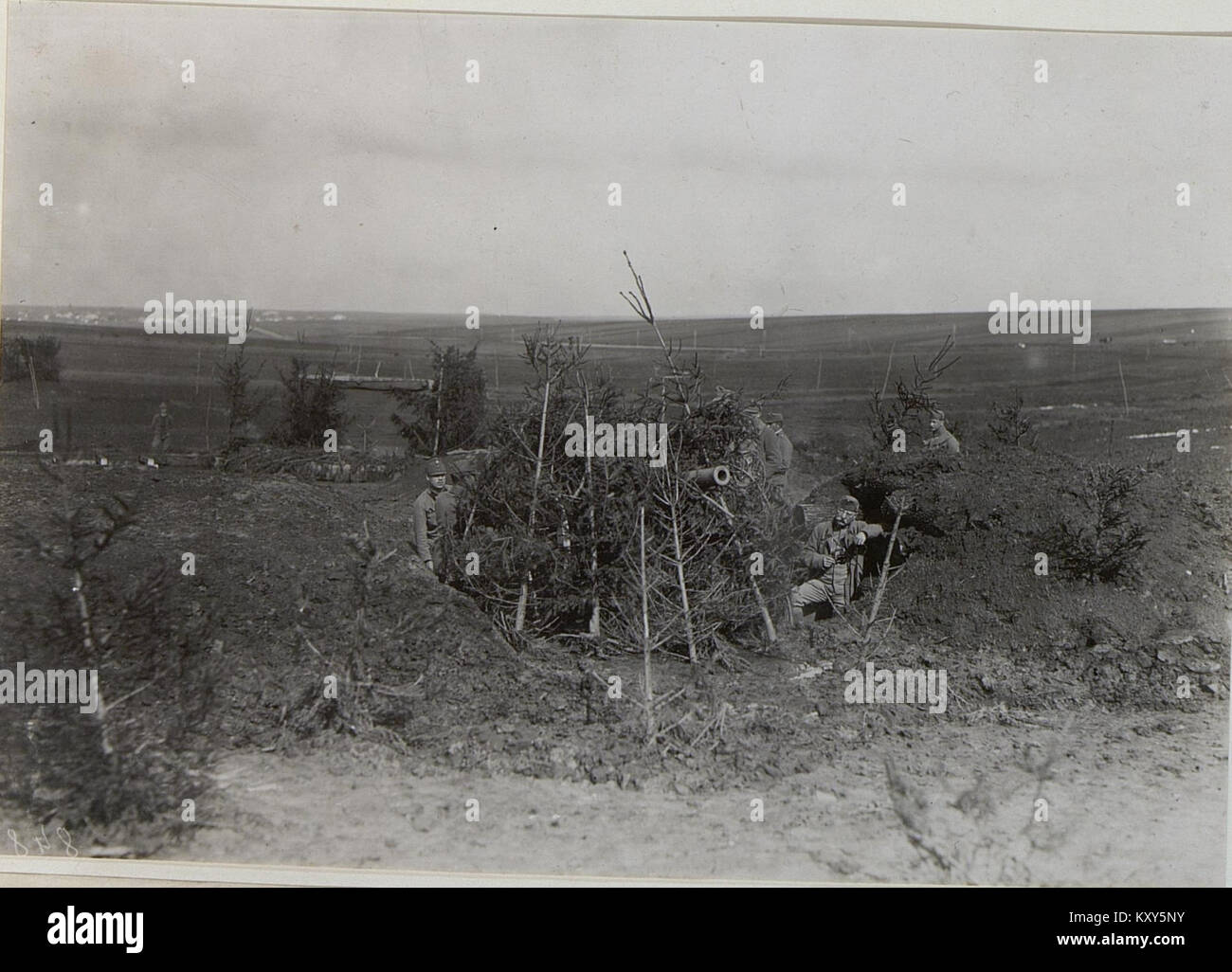 Una fotografia di un cannone antiaereo mimetico della batteria 4-19, che mostra un pezzo di artiglieria nascosto posizionato per la difesa aerea durante un'operazione di guerra. Foto Stock