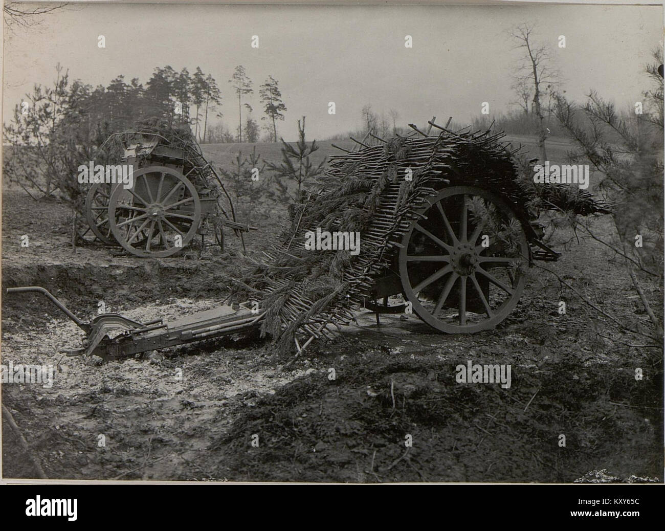 Questa immagine raffigura un cannone di artiglieria mimetizzato da 10 cm utilizzato dal 25th Field Howitzer Regiment, terza batteria. La fotografia mette in evidenza le tecniche militari mimetiche e il ruolo dell'artiglieria nella guerra dei primi anni del XX secolo. Foto Stock
