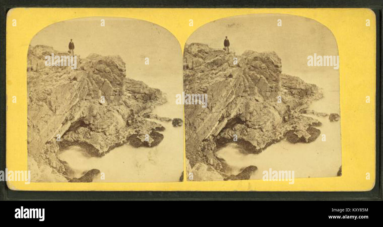 Una fotografia di G.K. Proctor mostra la scogliera di Glyn a Nahant, Massachusetts, come parte del terreno costiero Atlantico con affioramenti rocciosi, boschi di pini e mare aperto, illustrando il reportage panoramico della costa orientale americana della metà del XIX secolo. Foto Stock