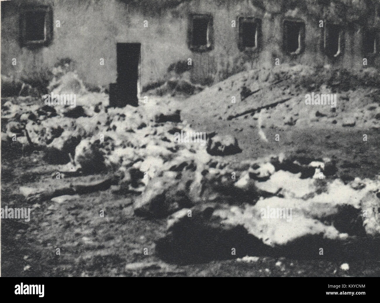 Questa foto cattura il processo di esumazione nel cortile della prigione di Gesińska, Varsavia, nel 1946, dopo la seconda guerra mondiale, per l'identificazione delle vittime in tempo di guerra. Foto Stock