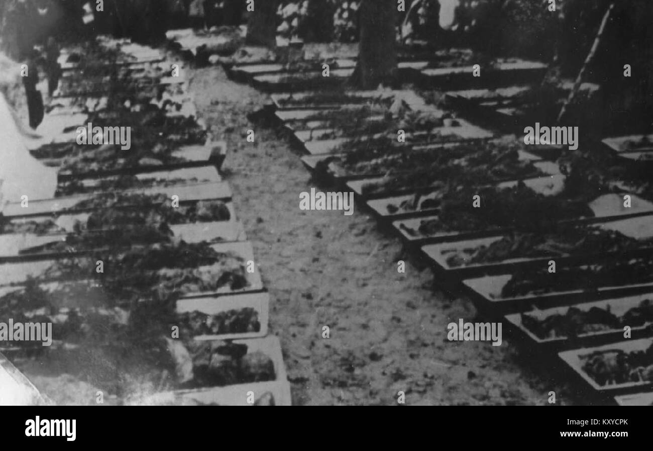 L'esumazione delle vittime polacche giustiziate dal Volksdeutscher Selbstschutz a Barbarka, Torun. Questo evento storico serve come un significativo ricordo delle atrocità in tempo di guerra e delle esecuzioni di massa durante la seconda guerra mondiale Foto Stock