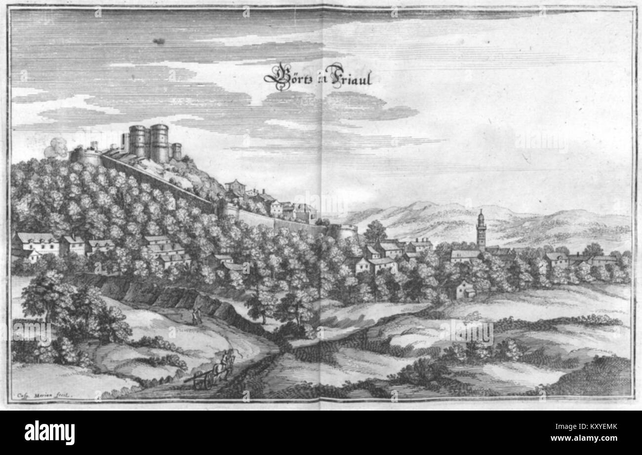 Un'illustrazione botanica del XVII secolo di Matthäus Merian che mostra precisione scientifica e arte, esemplificando i primi studi europei moderni sulle piante e l'influenza di Gärtz sulla documentazione di storia naturale. Foto Stock