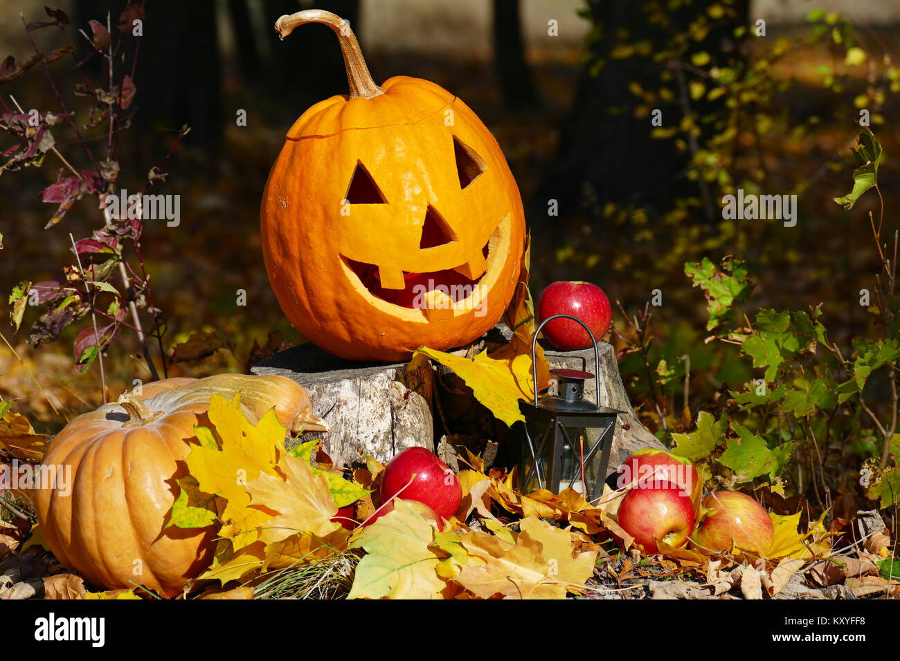 Zucca di Halloween su un moncone in autunno foresta. Foto Stock