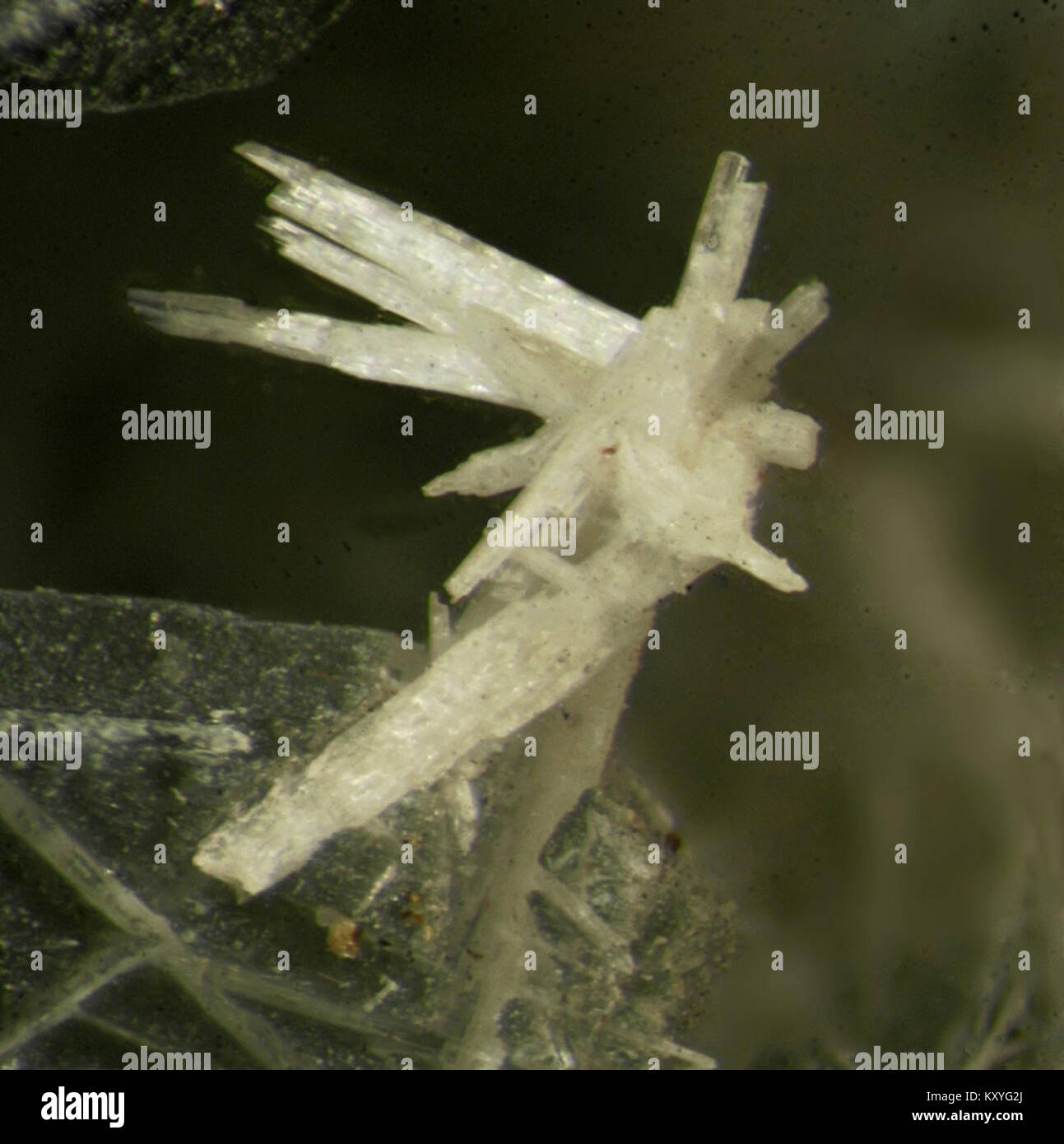 Il Götzenite è un minerale silicato raro, tipicamente presente nelle rocce nefeline di sienite, composto da calcio, titanio, sodio e silicio, nota per le sue proprietà cristallografiche e geologiche. Foto Stock