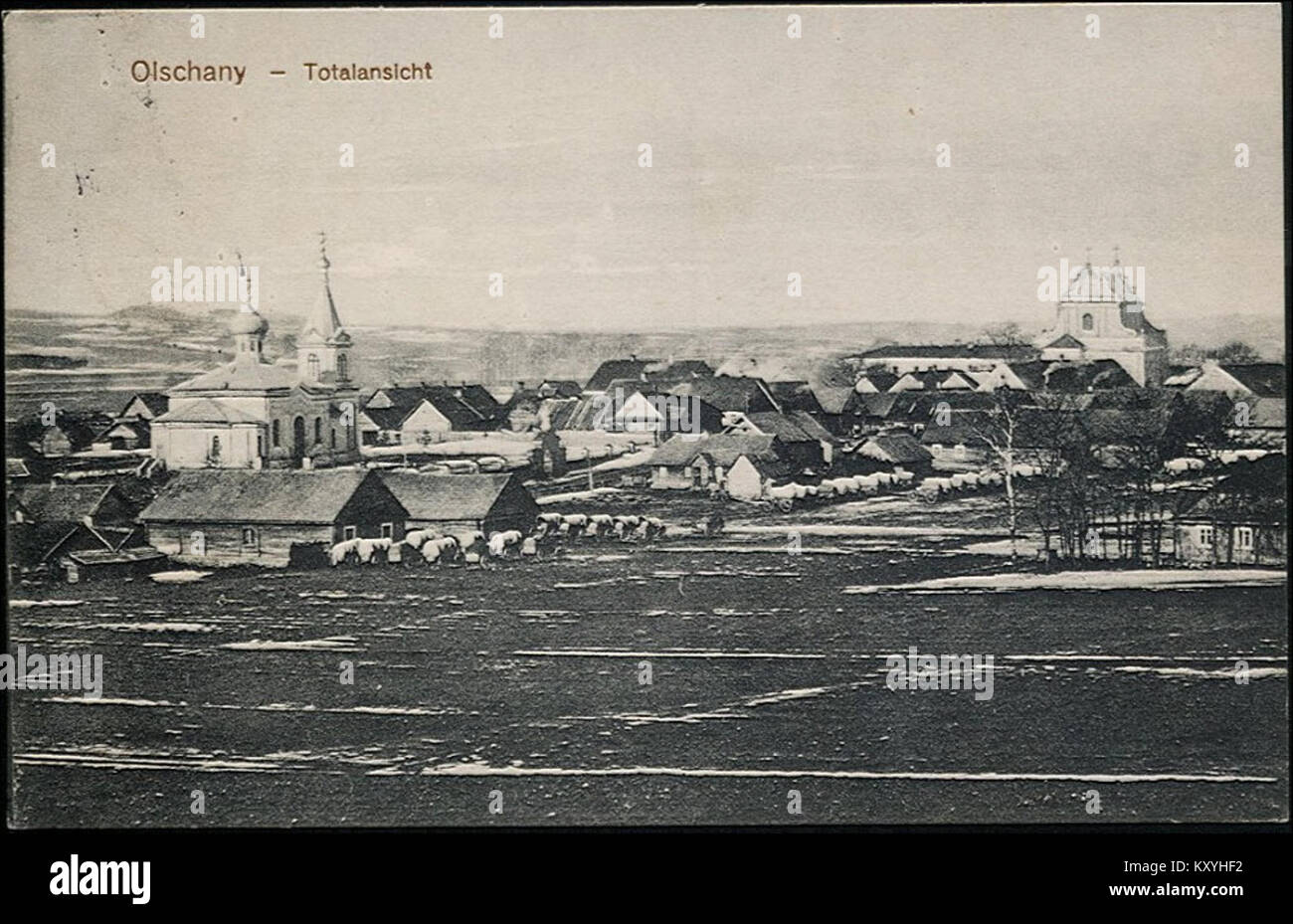 Questa immagine del 1916 cattura un momento a Halsany, una località storica. La fotografia rappresenta un periodo importante nella storia della regione durante la prima guerra mondiale Foto Stock