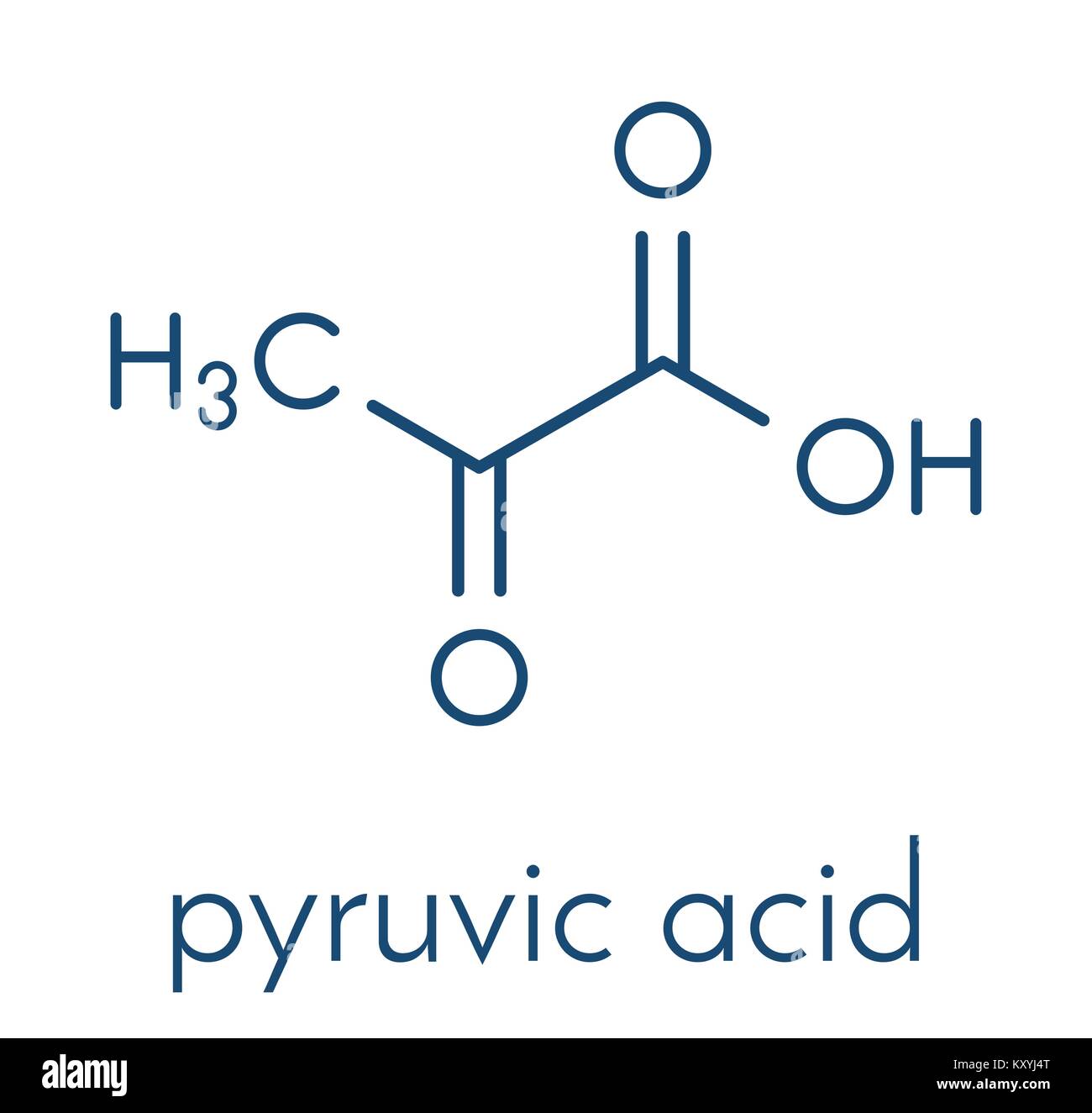 Acido piruvico (piruvato molecola). Importante intermedio in un certo numero di processi biochimici. Formula di scheletro. Illustrazione Vettoriale