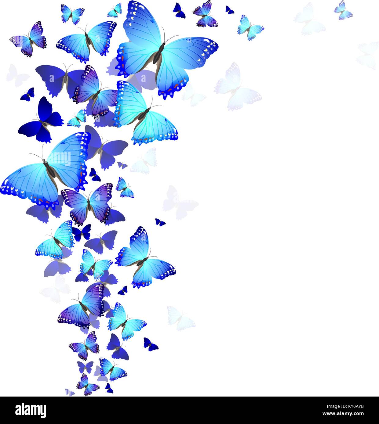 Sfondo Di Bellissime Farfalle Blu Immagine E Vettoriale Alamy