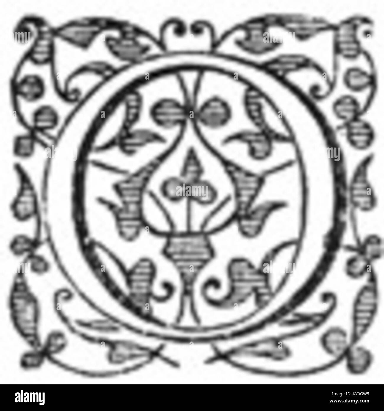 Una rappresentazione stilizzata della lettera "o", che mostra un design ornamentale dettagliato e una tipografia artistica che enfatizza la forma decorativa e l'artigianalità. Foto Stock