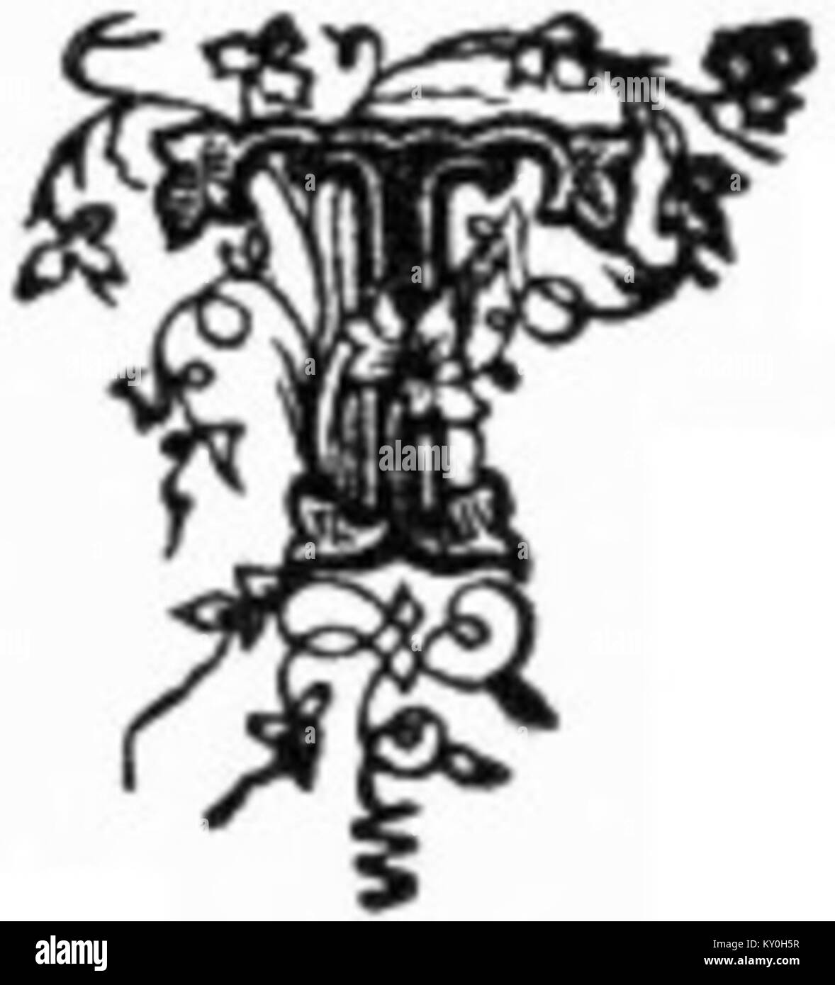 Questa immagine mostra una lettera calligrafica decorativa "T", che illustra le scritte ornate utilizzate nel design artistico o decorativo del testo. Foto Stock