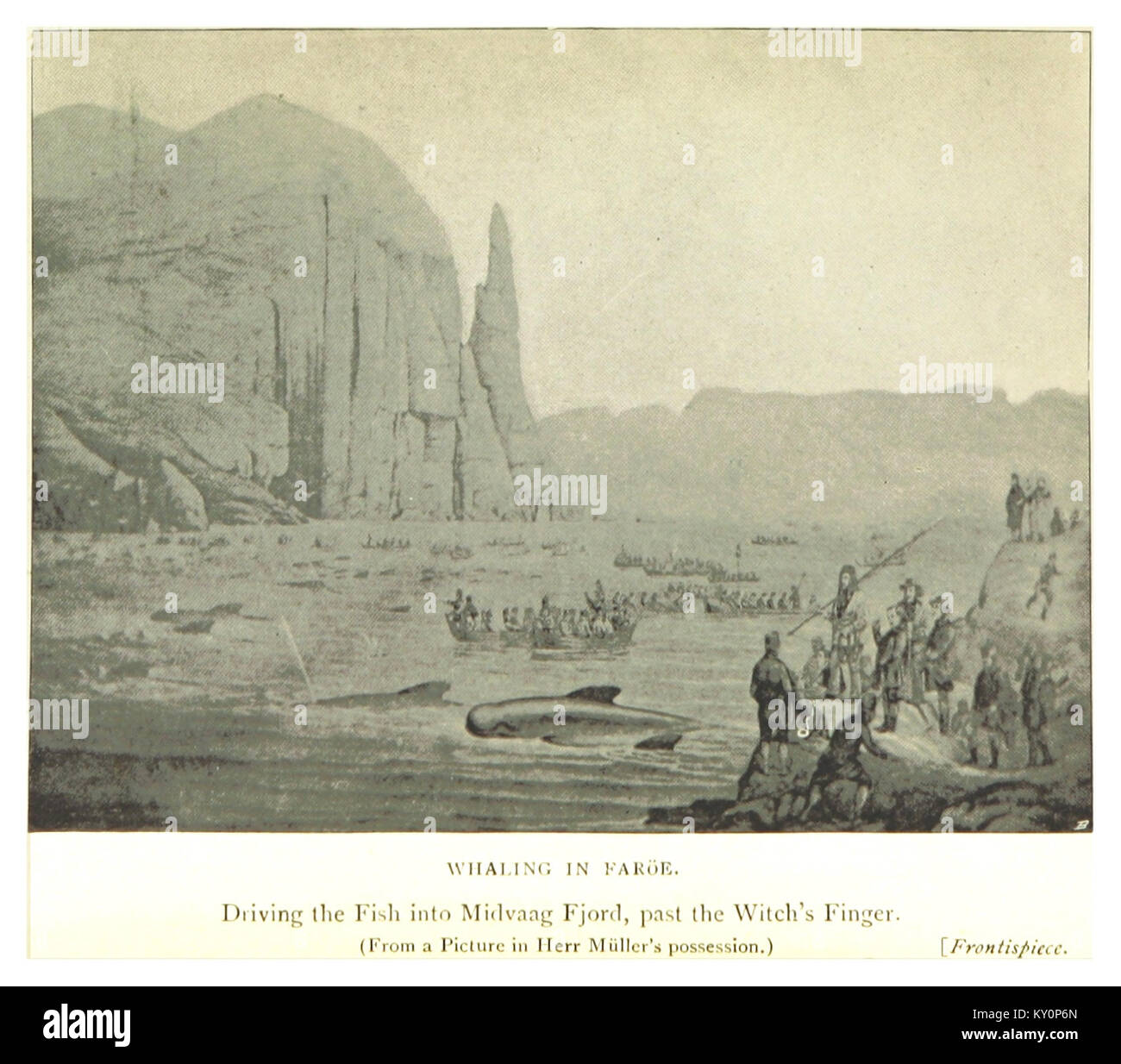 FARÖE(1898) BALENIERA IN FARÖE (Midvaag Fjord) Foto Stock