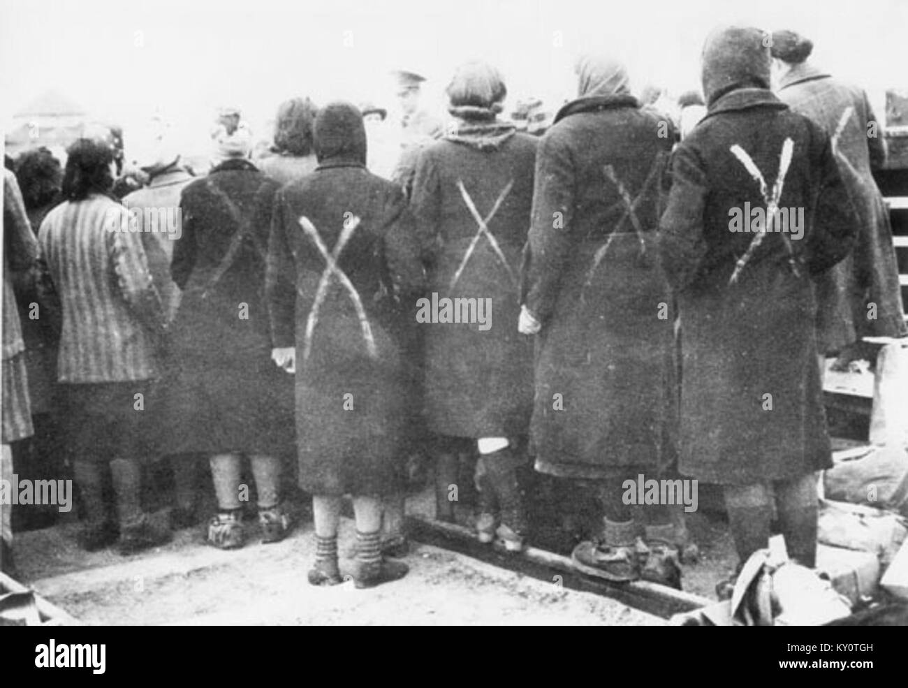 L'immagine mostra le donne prigioniere nel campo di concentramento di Ravensbrück, contrassegnate con il gesso per la selezione per il trasporto, illustrando le brutali condizioni e le atrocità sistematiche durante la seconda guerra mondiale Foto Stock