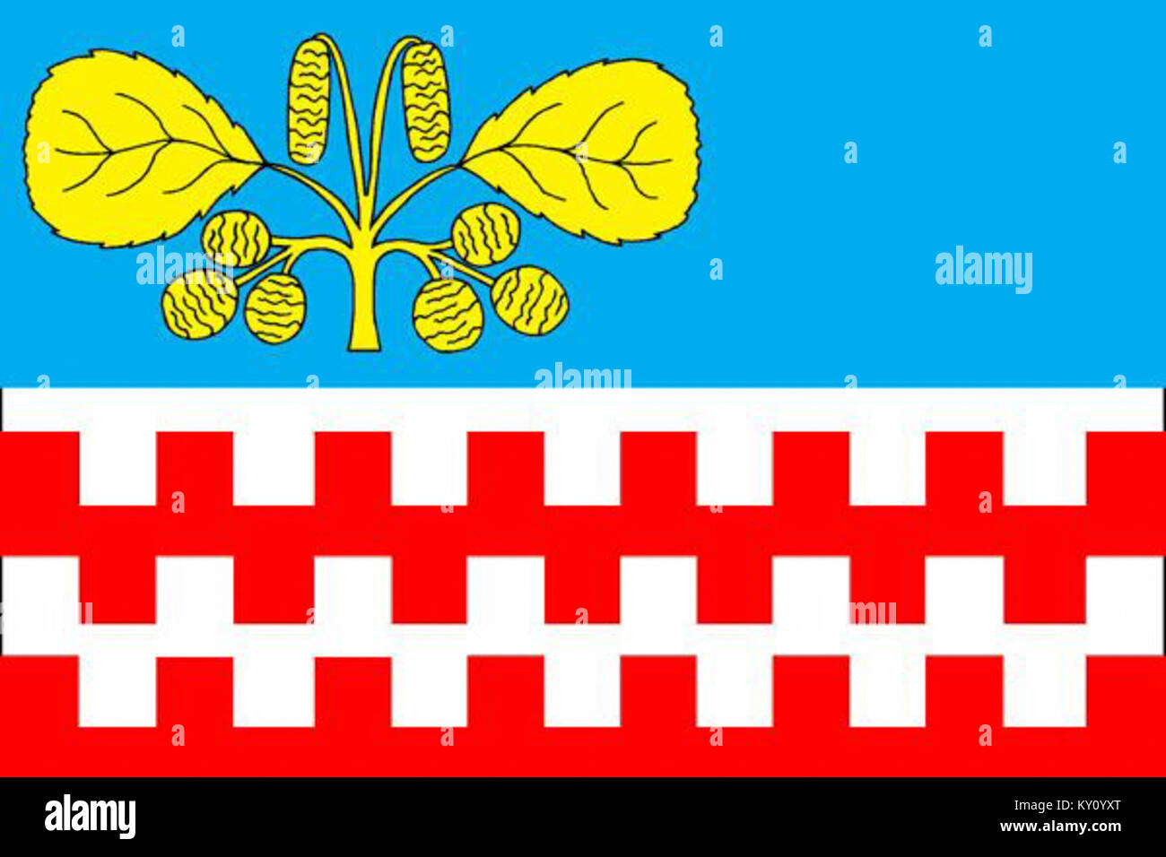 La bandiera di Podulșani, emblema storico e culturale che rappresenta la regione, simboleggia l'identità locale, le tradizioni e il patrimonio della zona. Foto Stock