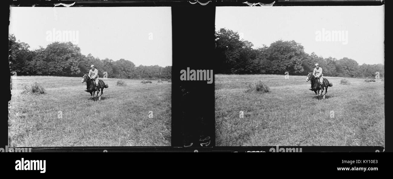 L'opera d'arte intitolata "Calas au galop" della collezione Berthel raffigura cavalli galoppanti, enfatizzando il movimento, l'anatomia e la rappresentazione dinamica dell'energia equina da parte dell'artista. Foto Stock