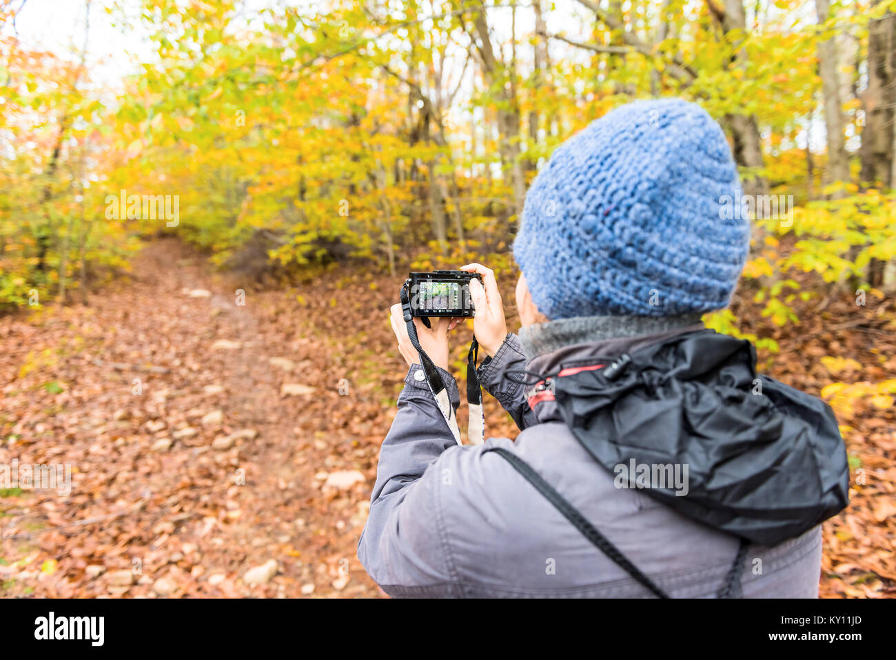 Giovane donna di scattare foto con la fotocamera sul sentiero escursionistico attraverso colorate arancio fogliame autunno autunno foresta con molti caduto foglie secche sul percorso in Occidente Foto Stock