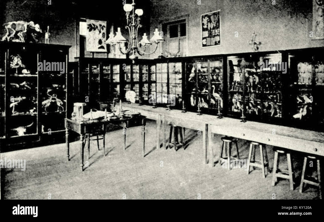 La fotografia del 1903 mostra la sala di patologia anatomica presso la Escuela de Medicina in Spagna, illustrando l'educazione medica storica e le pratiche di studio anatomico. Foto Stock