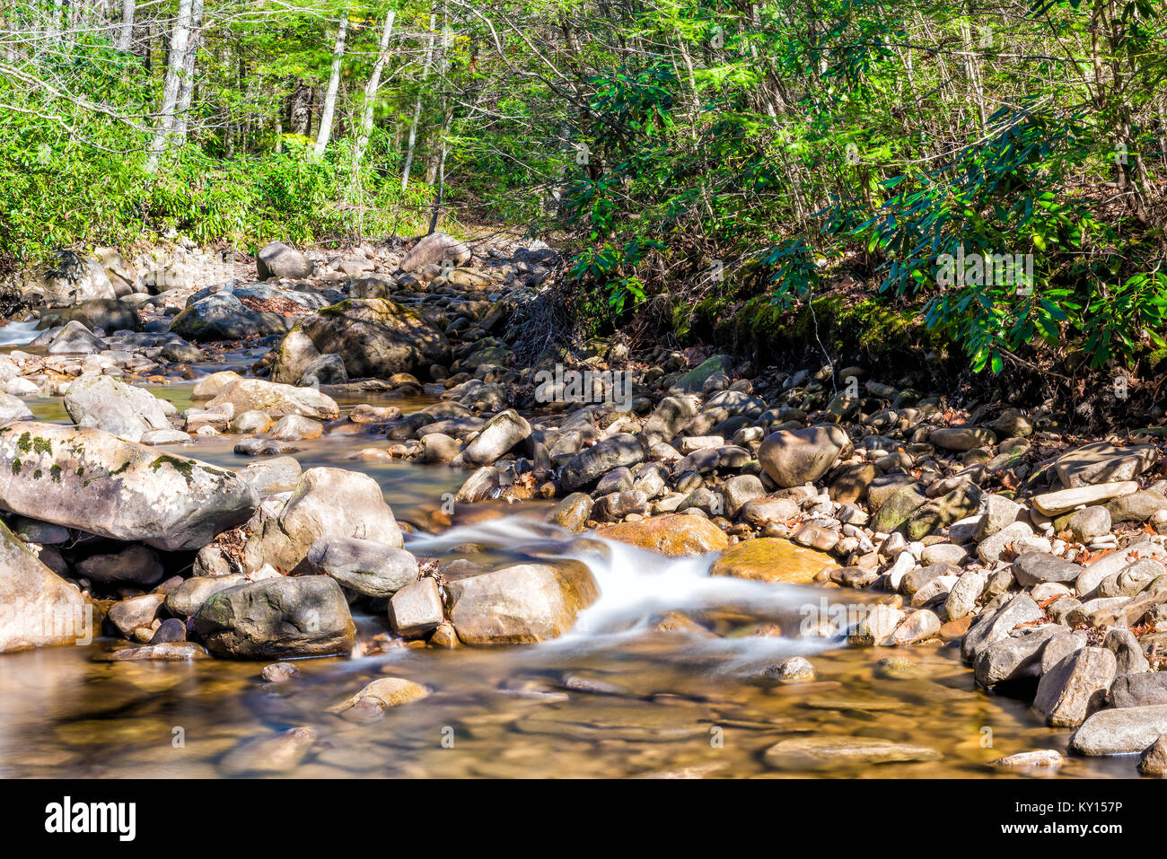 Primo piano di un basso flusso di roccia con lisce come la seta di acqua corrente e cascata in autunno con foglia verde fogliame, pietre e lunga esposizione fluente creek Foto Stock