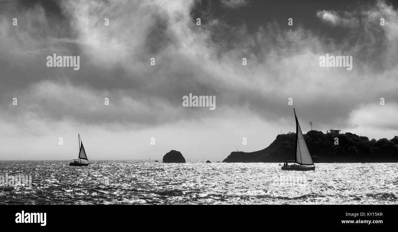 La baia di San Francisco barche a vela con le nuvole e la nebbia. Bianco e nero monocromatico. Isola di Alcatraz in background Foto Stock