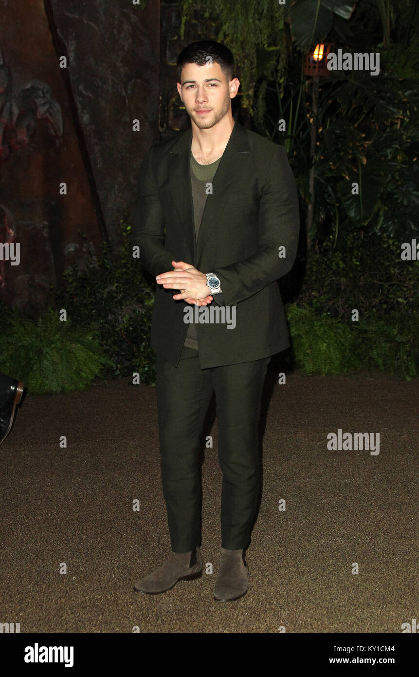 "Jumanji: Welcome to the Jungle" Premiere tenutasi presso la leva TCL Chinese Theatre di Los Angeles, California. Dotato di: Nick Jonas dove: Los Angeles, California, Stati Uniti quando: 12 Dic 2017 Credit: Adriana M. Barraza/WENN.com Foto Stock