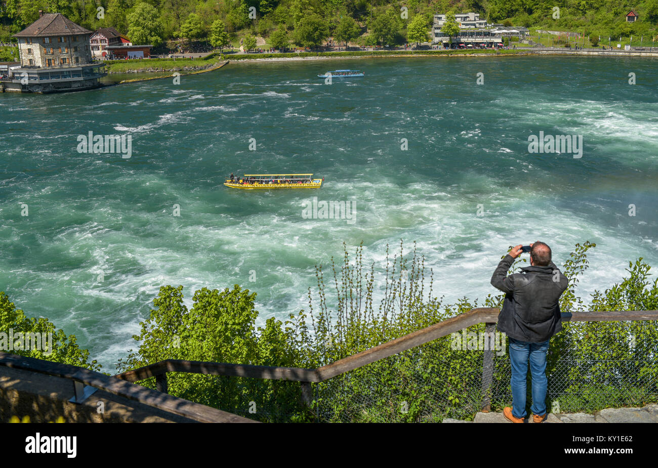 Fotografie di Rhein cascata. Germania Foto Stock