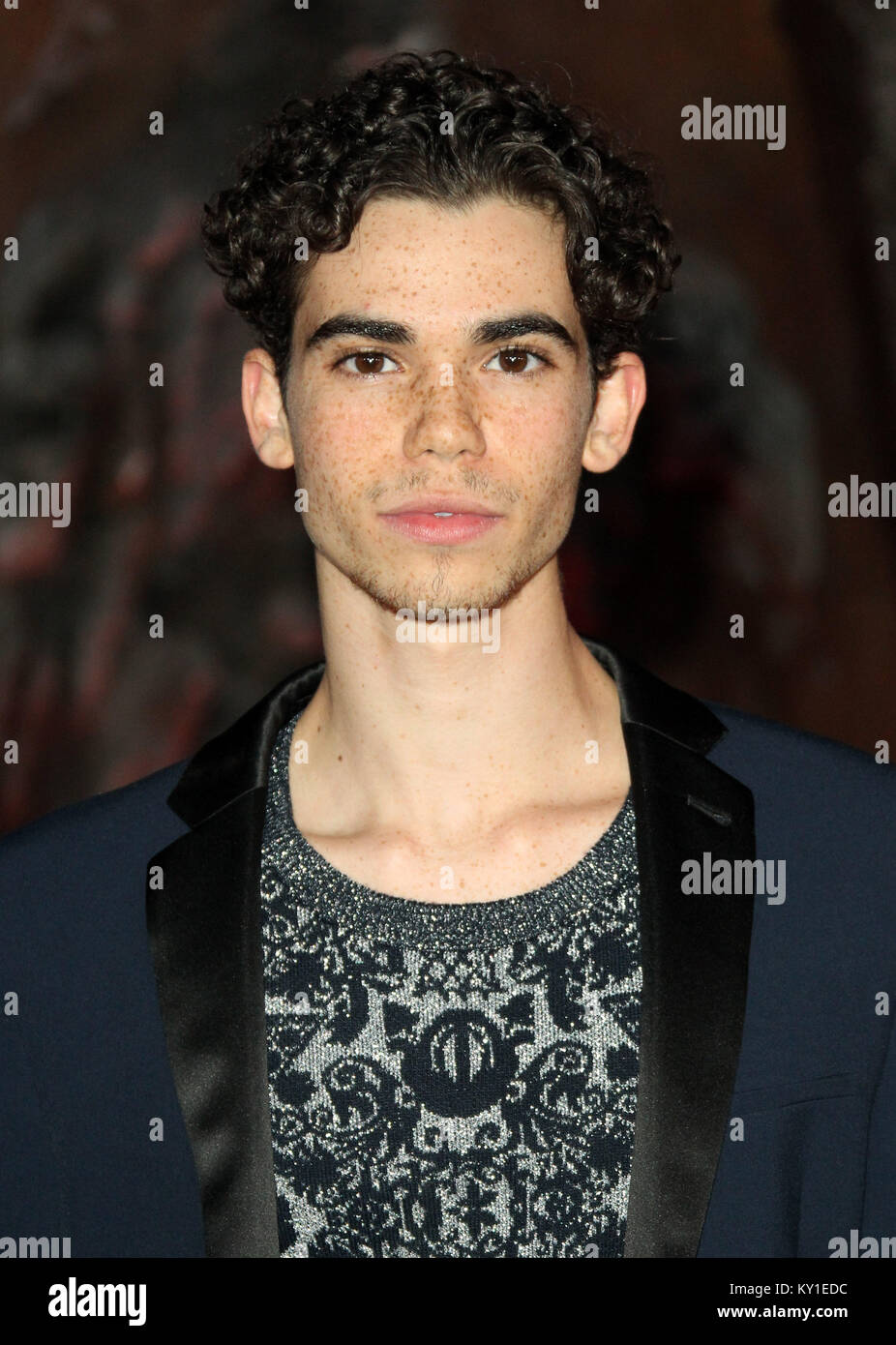 "Jumanji: Welcome to the Jungle" Premiere tenutasi presso la leva TCL Chinese Theatre di Los Angeles, California. Dotato di: Cameron Boyce dove: Los Angeles, California, Stati Uniti quando: 12 Dic 2017 Credit: Adriana M. Barraza/WENN.com Foto Stock