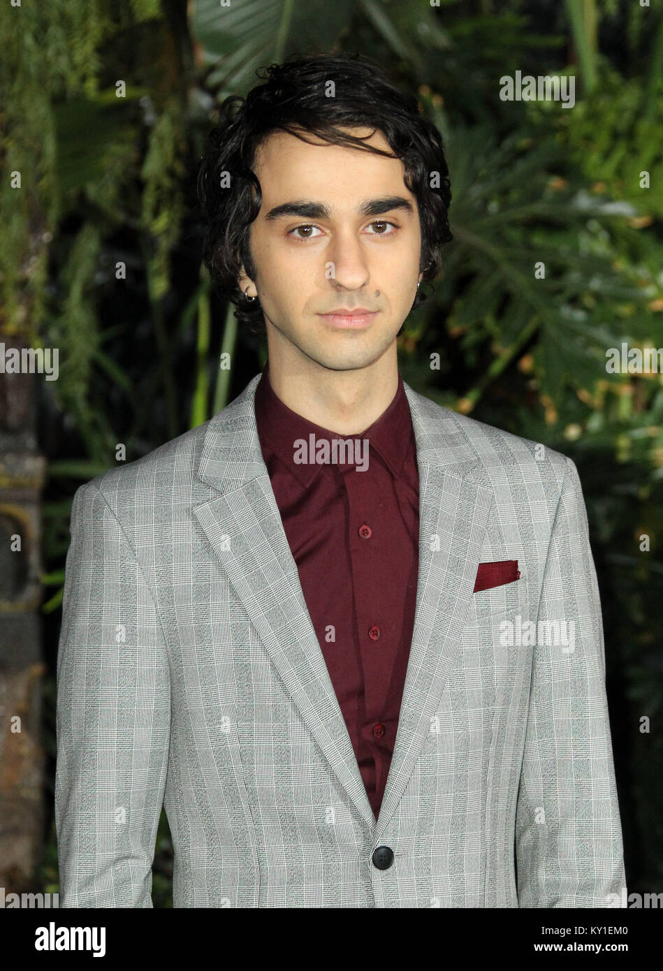 "Jumanji: Welcome to the Jungle" Premiere tenutasi presso la leva TCL Chinese Theatre di Los Angeles, California. Dotato di: Alex Wolff Dove: Los Angeles, California, Stati Uniti quando: 12 Dic 2017 Credit: Adriana M. Barraza/WENN.com Foto Stock