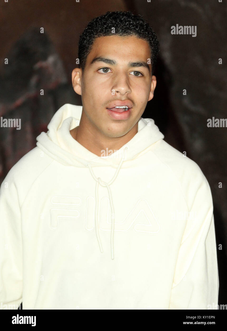 "Jumanji: Welcome to the Jungle" Premiere tenutasi presso la leva TCL Chinese Theatre di Los Angeles, California. Dotato di: Marcus Scribner dove: Los Angeles, California, Stati Uniti quando: 12 Dic 2017 Credit: Adriana M. Barraza/WENN.com Foto Stock