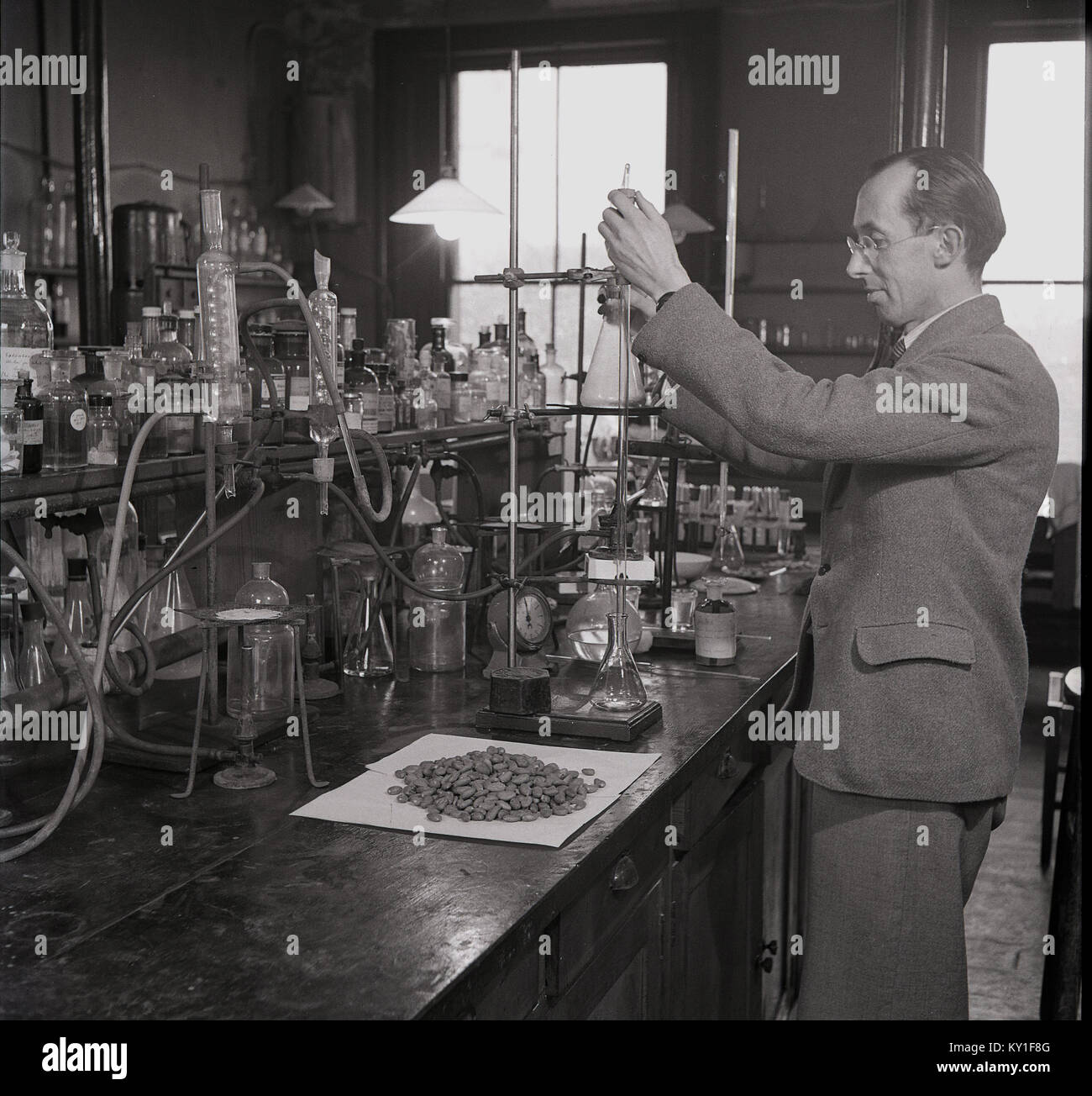 Degli anni Cinquanta, foto storiche, un maschio scienziato presso un banco in un laboratorio di condurre esperimenti in proprietà chimiche delle materie coca fagioli. Foto Stock