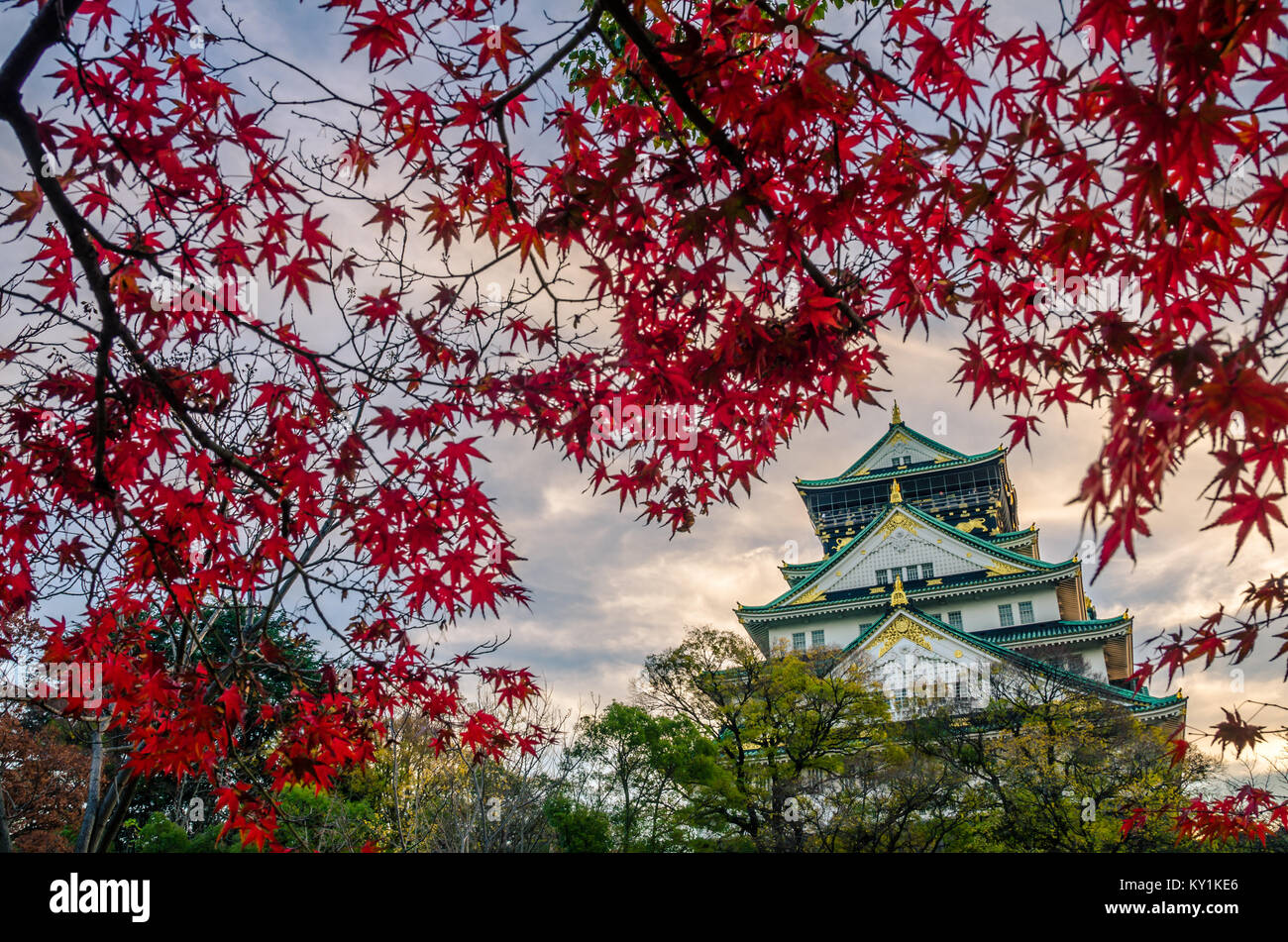 Il Castello di Osaka è un castello giapponese in Chūō-ku, Osaka, Giappone. Il castello è uno del Giappone più famosi punti di riferimento. Foto Stock