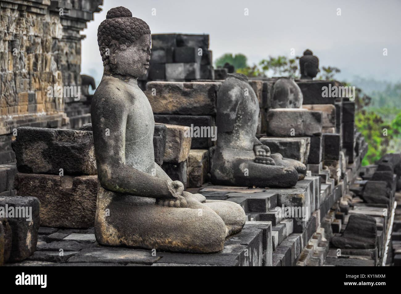 Staties di Buddha nel tempio di Borobudur sull isola di Giava, in Indonesia Foto Stock