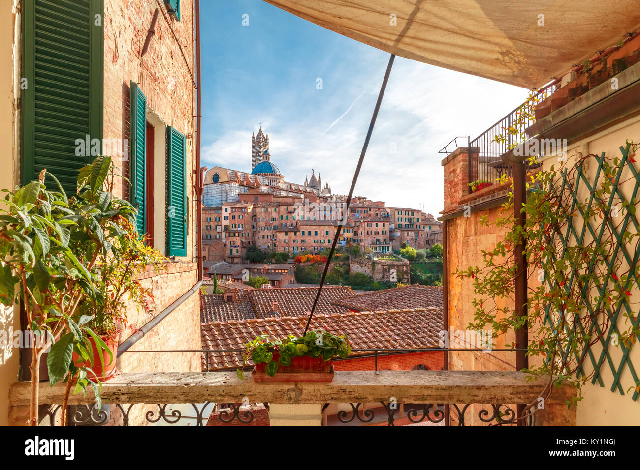Cattedrale di Siena nella giornata di sole, Toscana, Italia Foto Stock