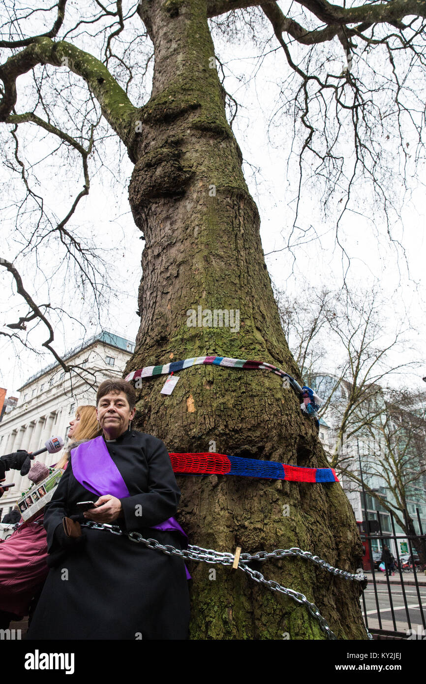 Londra, Regno Unito. 12 gennaio 2018. Anne Stevens, il vicario della chiesa di St Pancras, è incatenata ad un albero fuori dalla stazione di Euston come parte di una campagna da parte di residenti locali in protesta contro il progetto di abbattimento di aereo maturo di Londra, Red Oak, Common Lime, Whitebeam comune e Wild Service alberi in Euston Square Gardens per rendere il posto per i siti temporanei per i veicoli da costruzione e un posto di taxi sfollati come parte dei preparativi per la linea ferroviaria HS2. Foto Stock