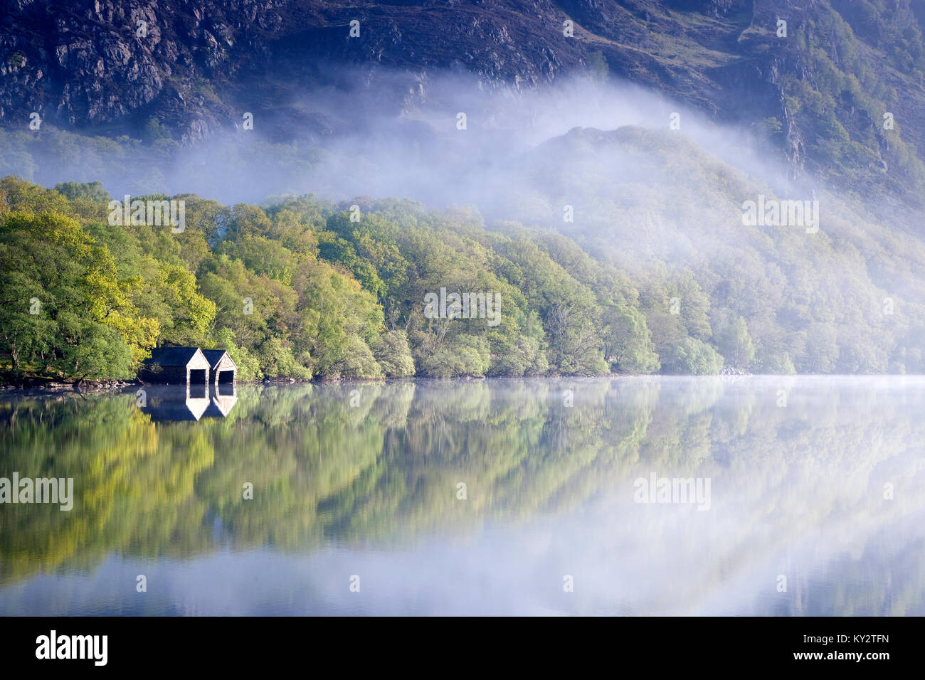 Alberata sulla riva nebbiosa mattina su Llyn Dinas lago nella valle Nantgwynant Snowdonia National Park Gwynedd North Wales UK, tarda primavera. Foto Stock