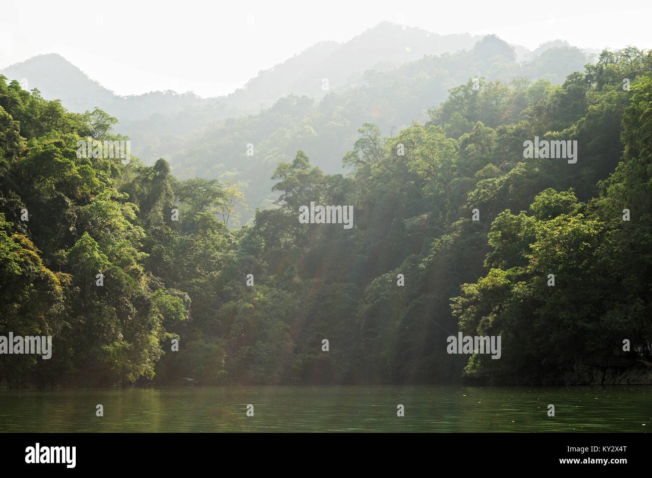 La foresta lussureggiante sulle rive del Ba essere Lago, Ba essere National Park, Nord Vietnam Foto Stock