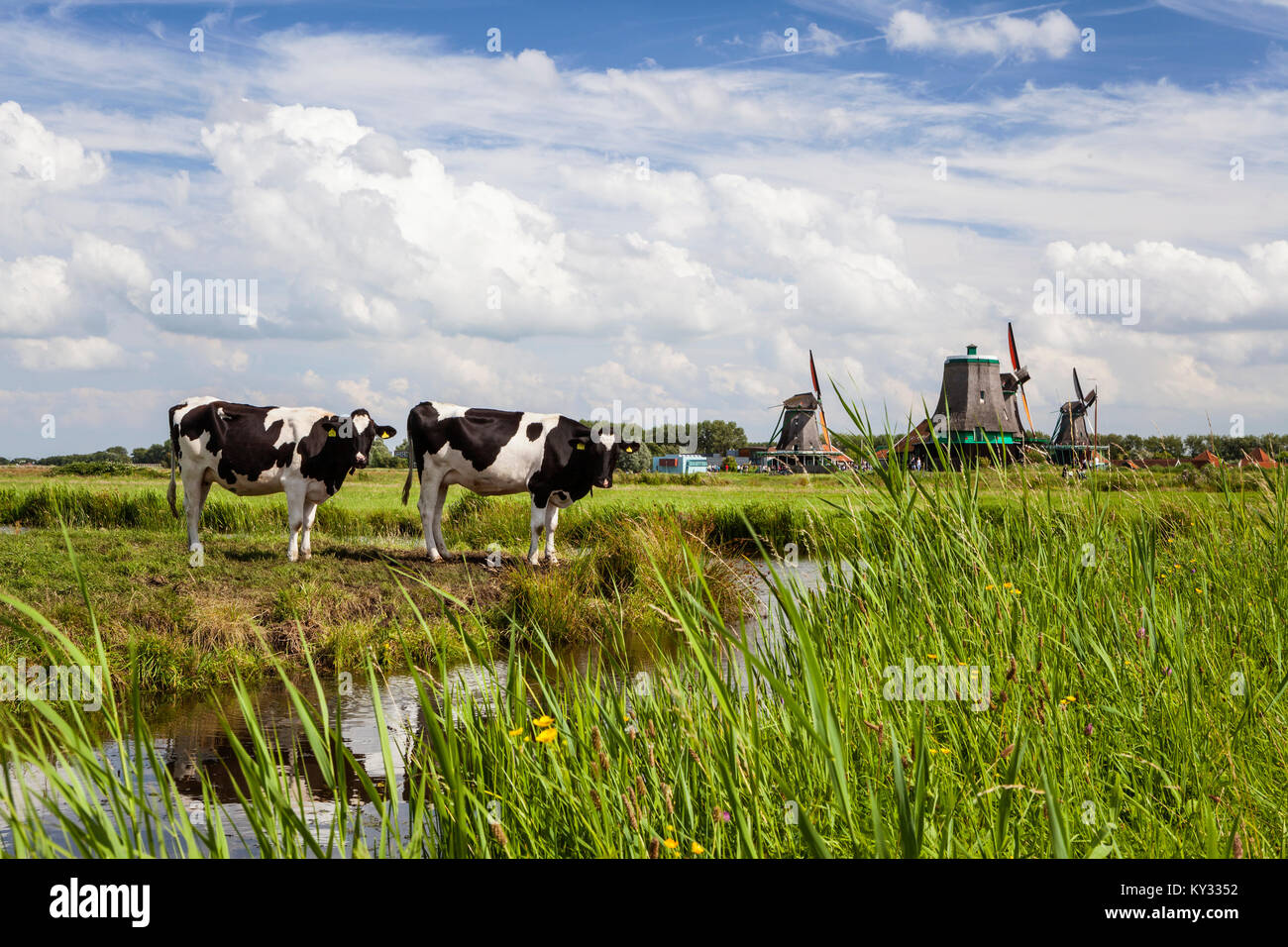 Zaanse Schans. Città storica in North Holland con open-air museum. Mulini a vento di lavoro, Foto Stock