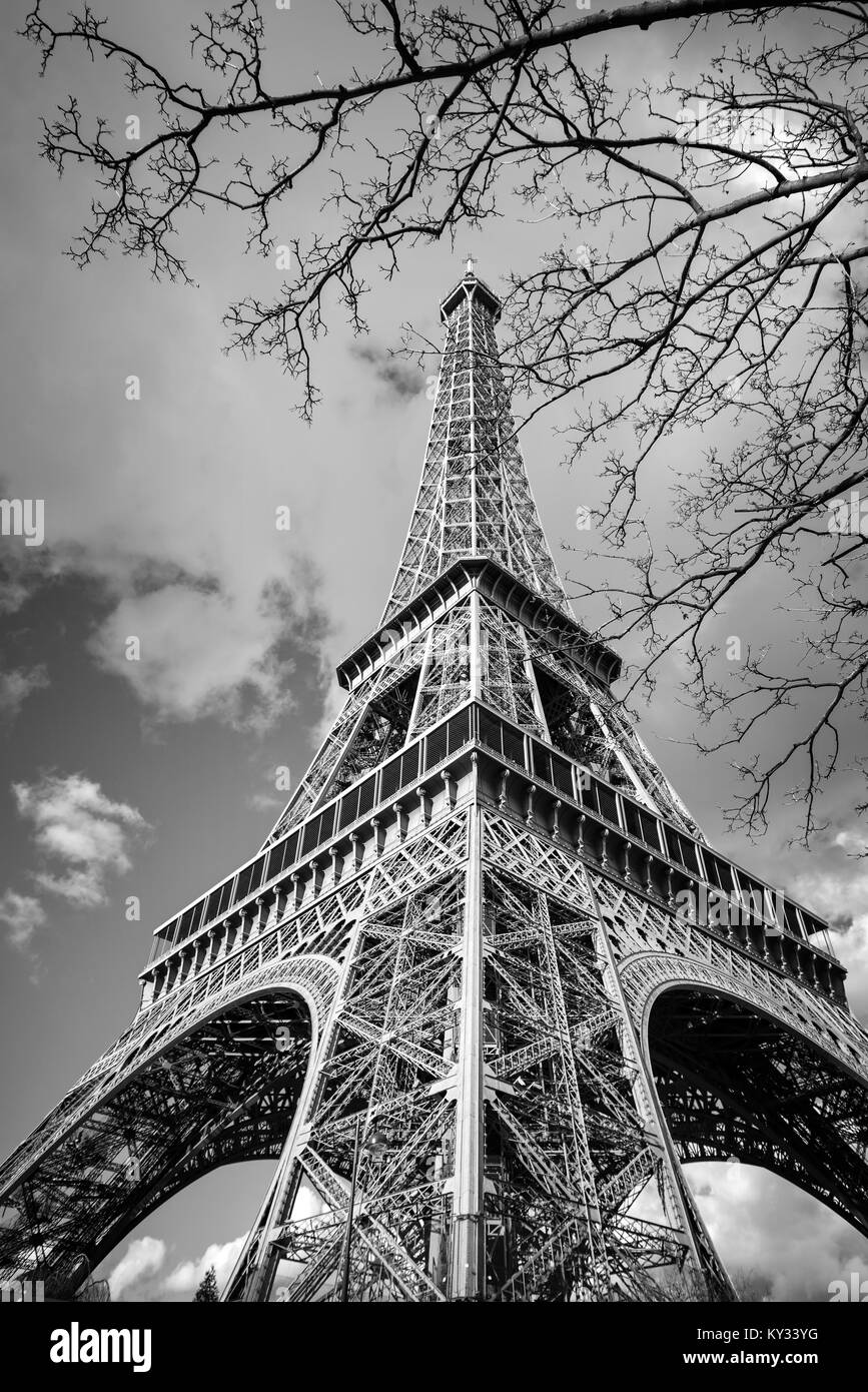 La torre Eiffel, Parigi Francia Foto Stock