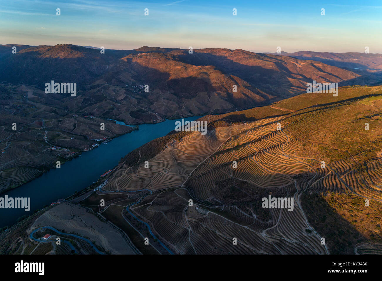 Vista aerea del vigneto e versanti terrazzati nelle colline della valle del Douro; concetto per il viaggio in Portogallo e nella valle del Douro, visitare portog Foto Stock